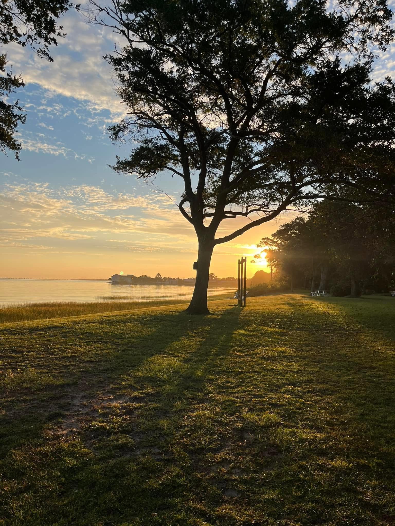 May Forest Sunrise