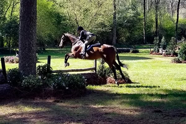 Aiken-Horse-Show-Web